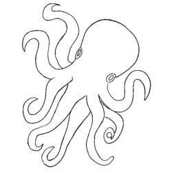 ぬりえページ: タコ (動物) #18923 - 無料の印刷可能なぬりえページ