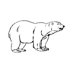 ぬりえページ: ホッキョクグマ (動物) #201243 - 無料の印刷可能なぬりえページ
