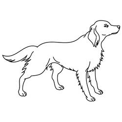 ぬりえページ: 子犬 (動物) #2995 - 無料の印刷可能なぬりえページ