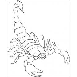 ぬりえページ: サソリ (動物) #14539 - 無料の印刷可能なぬりえページ