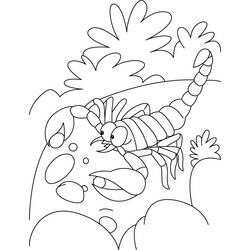 ぬりえページ: サソリ (動物) #14593 - 無料の印刷可能なぬりえページ