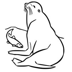 ぬりえページ: アシカ (動物) #192528 - 無料の印刷可能なぬりえページ