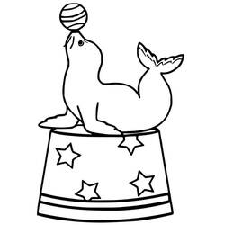 ぬりえページ: アシカ (動物) #192534 - 無料の印刷可能なぬりえページ