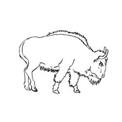 ぬりえページ: 牡牛座 (動物) #13855 - 無料の印刷可能なぬりえページ