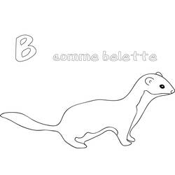 ぬりえ: イタチ - 無料の印刷可能なぬりえページ