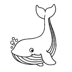 ぬりえ: クジラ - 無料の印刷可能なぬりえページ