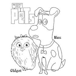 ぬりえ: The Secret Life of Pets - 無料の印刷可能なぬりえページ