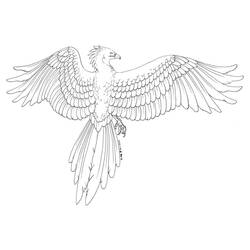 ぬりえページ: フェニックス (キャラクター) #192279 - 無料の印刷可能なぬりえページ