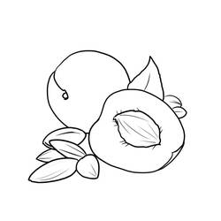 ぬりえページ: あんず (食べ物と栄養) #184239 - 無料の印刷可能なぬりえページ