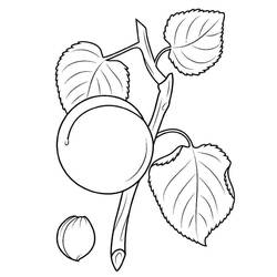 ぬりえページ: あんず (食べ物と栄養) #184245 - 無料の印刷可能なぬりえページ