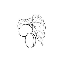 ぬりえページ: あんず (食べ物と栄養) #184256 - 無料の印刷可能なぬりえページ