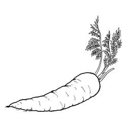 ぬりえページ: ニンジン (食べ物と栄養) #197516 - 無料の印刷可能なぬりえページ