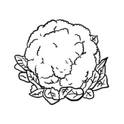 ぬりえページ: カリフラワー (食べ物と栄養) #207509 - 無料の印刷可能なぬりえページ