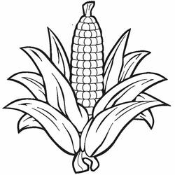 ぬりえページ: とうもろこし (食べ物と栄養) #207442 - 無料の印刷可能なぬりえページ