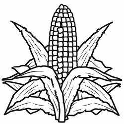 ぬりえページ: とうもろこし (食べ物と栄養) #207443 - 無料の印刷可能なぬりえページ
