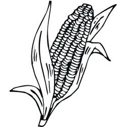 ぬりえページ: とうもろこし (食べ物と栄養) #207463 - 無料の印刷可能なぬりえページ