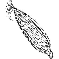 ぬりえページ: とうもろこし (食べ物と栄養) #207464 - 無料の印刷可能なぬりえページ