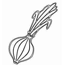 ぬりえページ: タマネギ (食べ物と栄養) #186595 - 無料の印刷可能なぬりえページ