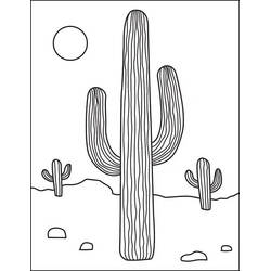 ぬりえページ: サボテン (自然と季節) #170809 - 無料の印刷可能なぬりえページ