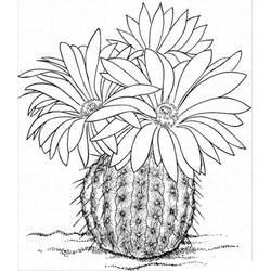 ぬりえページ: サボテン (自然と季節) #170838 - 無料の印刷可能なぬりえページ