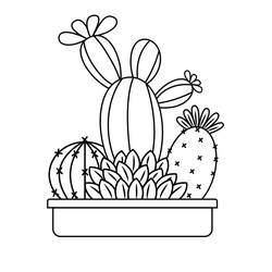 ぬりえページ: サボテン (自然と季節) #170852 - 無料の印刷可能なぬりえページ