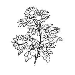 ぬりえページ: デイジー (自然と季節) #176536 - 無料の印刷可能なぬりえページ