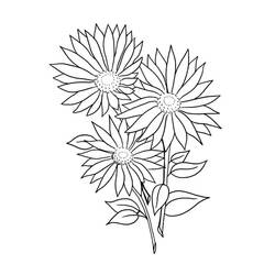 ぬりえページ: デイジー (自然と季節) #176546 - 無料の印刷可能なぬりえページ
