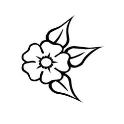 ぬりえページ: 花 (自然と季節) #155036 - 無料の印刷可能なぬりえページ