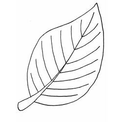 ぬりえページ: 葉 (自然と季節) #191833 - 無料の印刷可能なぬりえページ