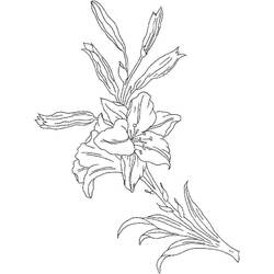 ぬりえ: ユリ - 無料の印刷可能なぬりえページ