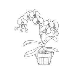 ぬりえページ: ラン (自然と季節) #176370 - 無料の印刷可能なぬりえページ