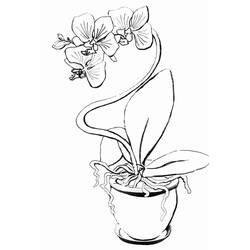 ぬりえページ: ラン (自然と季節) #176376 - 無料の印刷可能なぬりえページ