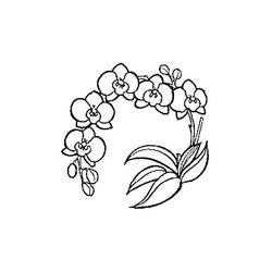 ぬりえページ: ラン (自然と季節) #176380 - 無料の印刷可能なぬりえページ