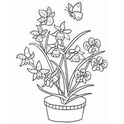 ぬりえページ: ラン (自然と季節) #176386 - 無料の印刷可能なぬりえページ