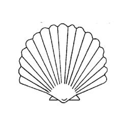 ぬりえ: 貝殻 - 無料の印刷可能なぬりえページ