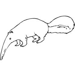 長い鼻を持つアリクイが歩く様子 のぬりえ