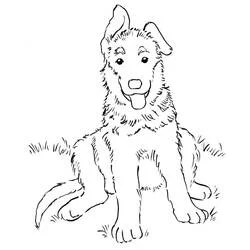 草の上に座るジャーマンシェパードの子犬 のぬりえ