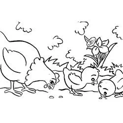 雌鶏とひよこがえさをついばむ様子 のぬりえ