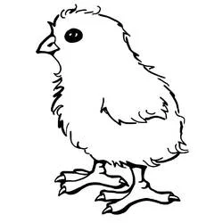 ふわふわした羽のひよこが立っている のぬりえ