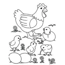 花畑にいる雌鶏とひよこたち のぬりえ