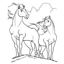 馬が丘の上で仲間と一緒に立っている様子 のぬりえ