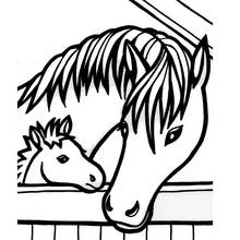 馬と子馬が馬小屋のドアからのぞく のぬりえ