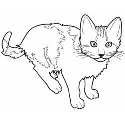 尻尾を上げて歩く子猫 のぬりえ