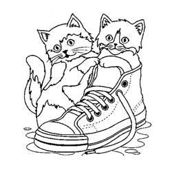 スニーカーの中で遊ぶ2匹の子猫 のぬりえ