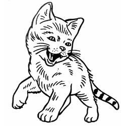 口を大きく開けた子猫 のぬりえ
