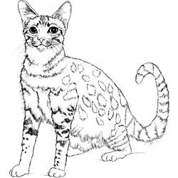 斑点模様の子猫がまっすぐ座っている のぬりえ