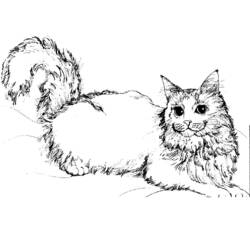 ふさふさの尾を持つ子猫が横たわる様子 のぬりえ