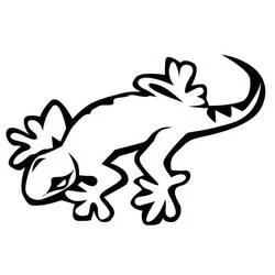 背中がとげとげで尻尾が丸まったトカゲ のぬりえ