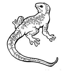 斑点模様のトカゲ のぬりえ