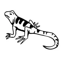 縞模様の背中を持つ歩くトカゲ のぬりえ
